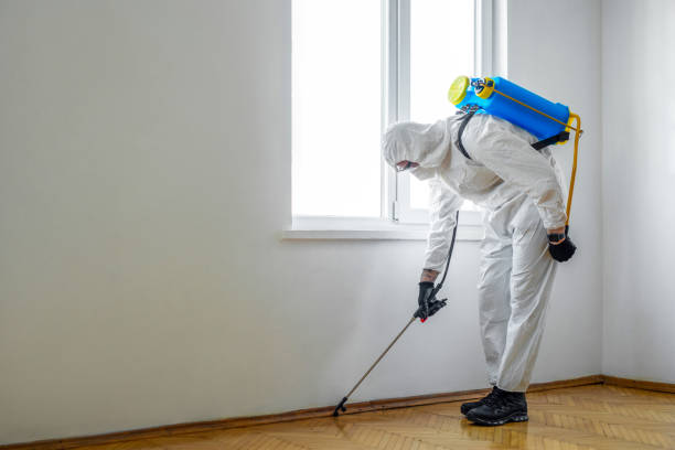 Pest Prevention Services in Atascadero, CA