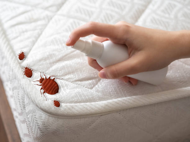 Pest Control Cost in Atascadero, CA